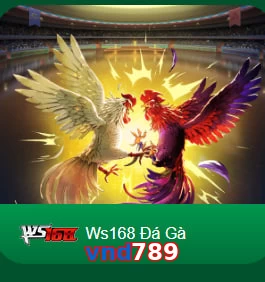 vnd789